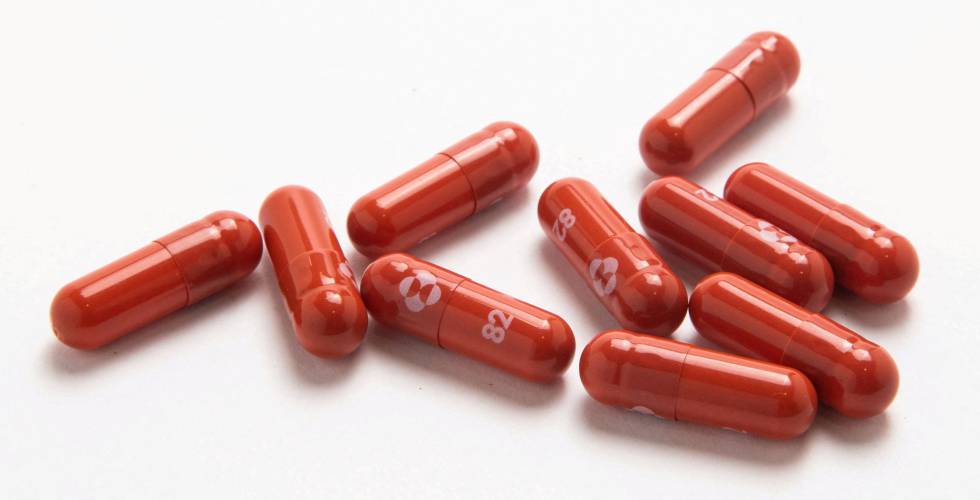 Cofepris autoriza uso de emergencia de pastillas antiCovid-19