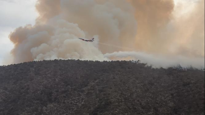 Hay 9 incendios forestales en Coahuila, ya está liquidado Huqchichil