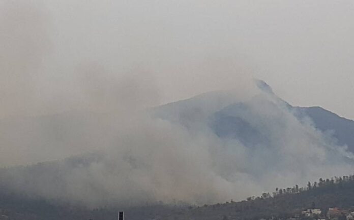 Se registra incendio forestal en Sierra de Cuauhtémoc