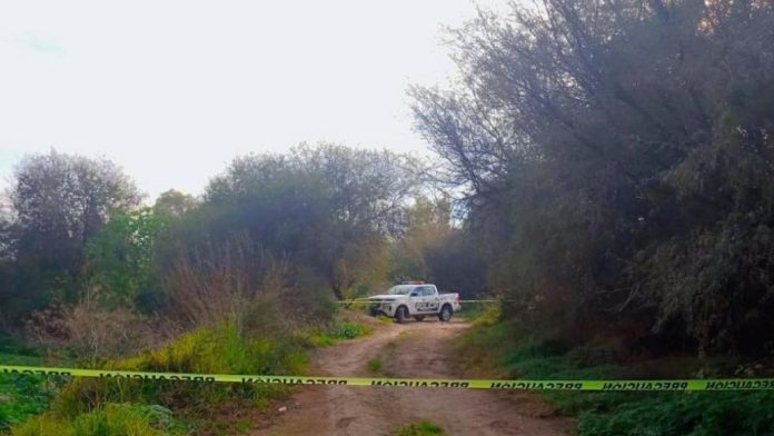 Encuentran a policía muerto dentro de su patrulla