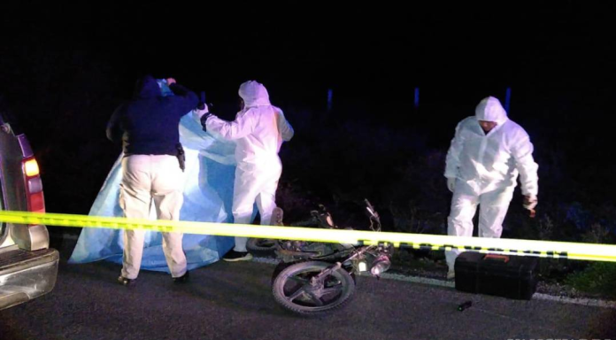 Muere motociclista tras colisionar con caballo, piden medidas para evitar que animales deambulen sobre carreteras
