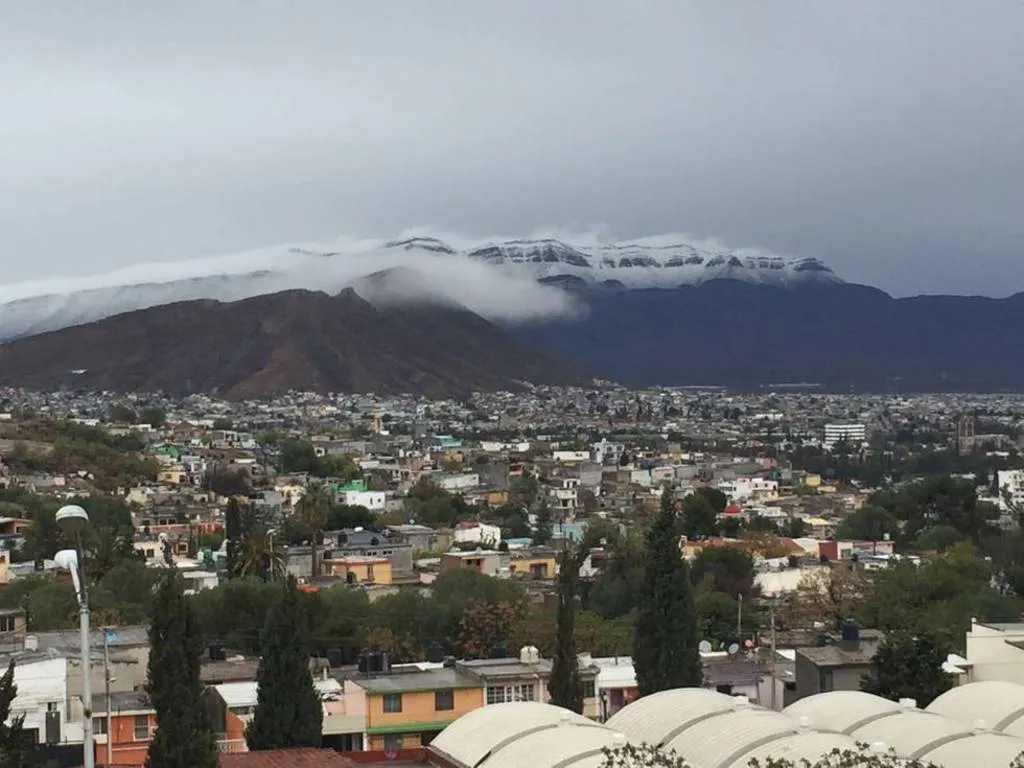 nieve