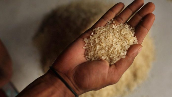 Advierten científicos mexicanos sobre plomo en alimentos esenciales