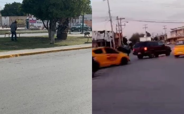 Captan presunto maltrato animal en Coahuila