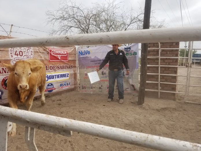 Exportación de ganado de la Carbonífera