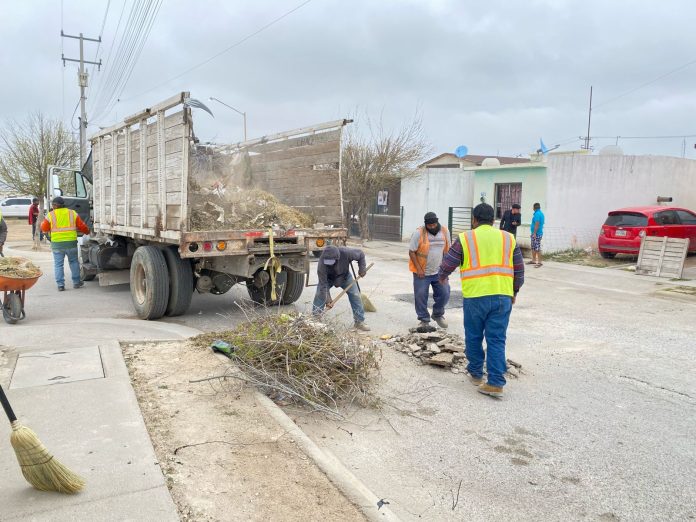 Ecología municipal trabaja en mejoramiento de espacios públicos