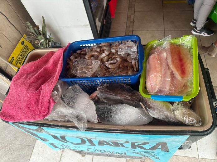 Inspecciona Secretaría de Salud venta de pescados y mariscos