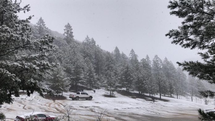 nieve