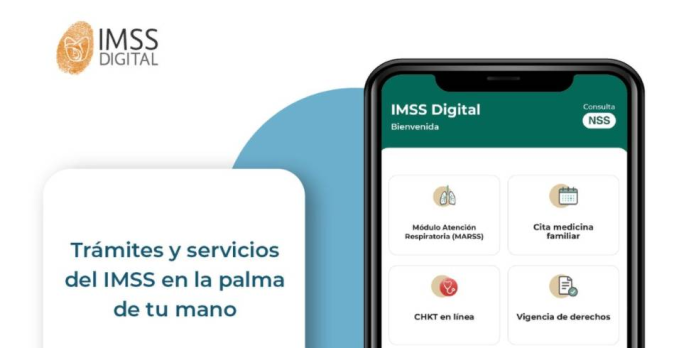 Ofrece aplicación IMSS Digital realizar trámites desde dispositivos móviles