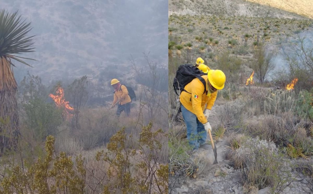 Listo Programa Estatal de incendios forestales Coahuila 2024