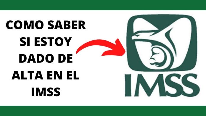 ¿Quieres saber si estás dado de alta en el IMSS?: Aquí puedes averiguarlo