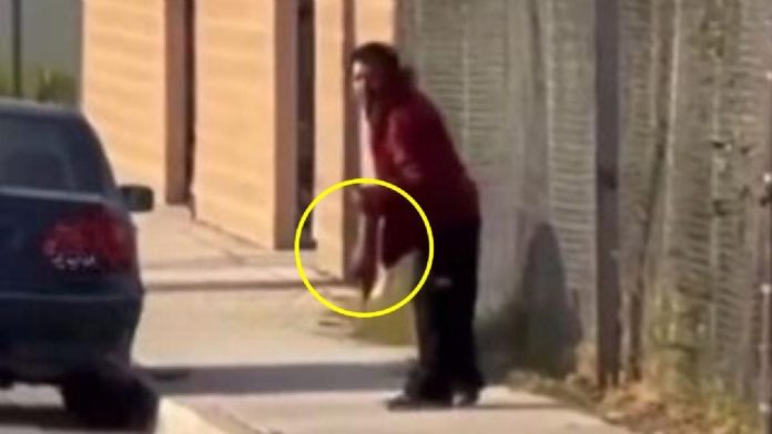 Encuentran a un sujeto comiendo los restos de otro hombre atropellado