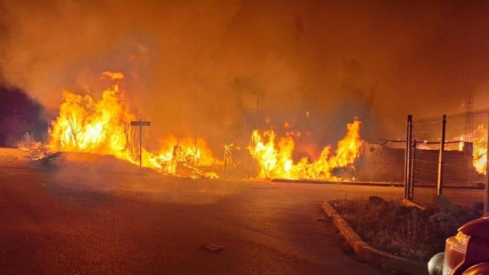 Madre encuentra el cuerpo de su hijo calcinado en Coahuila