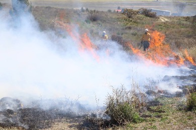 Protección Civil de Arteaga se prepara para Semana Santa