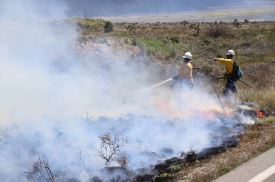 Protección Civil de Arteaga se prepara para Semana Santa