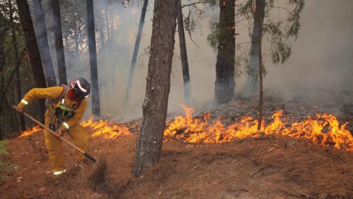 Restricciones en Nuevo León para prevenir incendios forestales