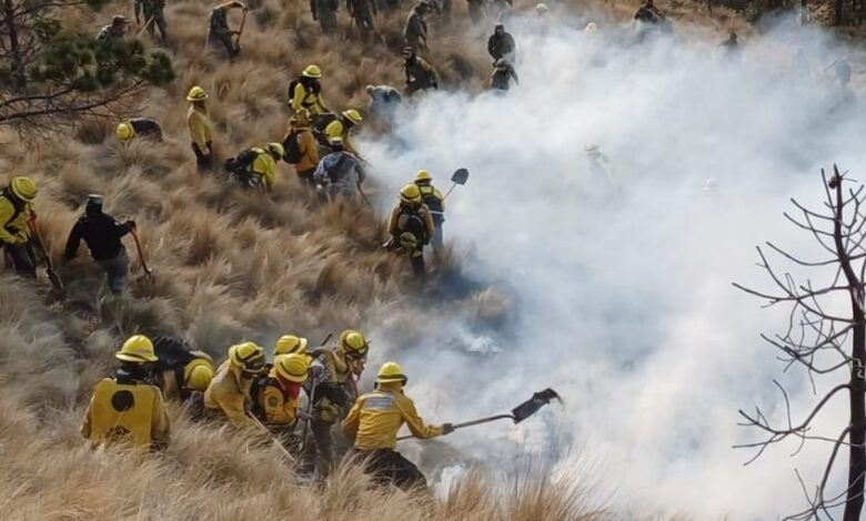 Controlan incendio forestal en Parras de la Fuente