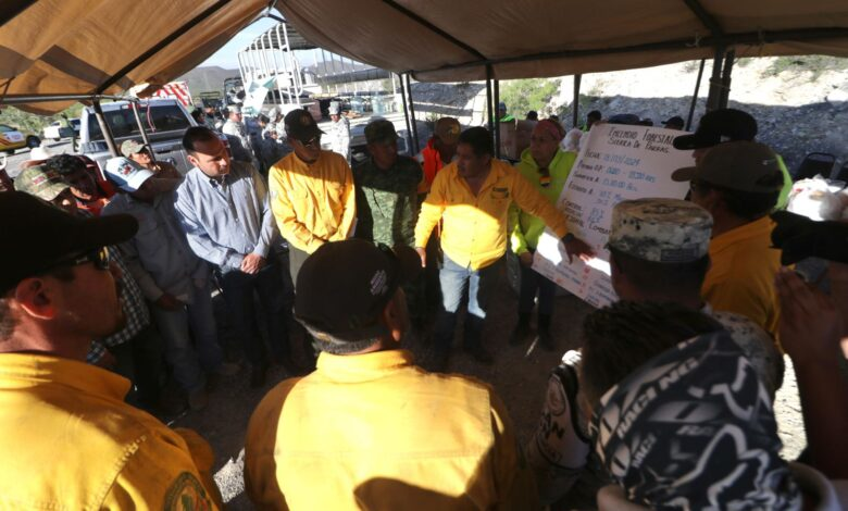 Controlan incendio forestal en Parras de la Fuente