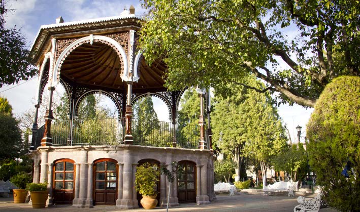 Viñedos en Parras de la Fuente, con hileras de vides y montañas al fondo.
