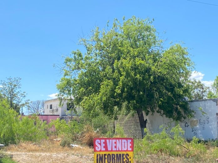 Notifican terrenos irregulares en Acuña