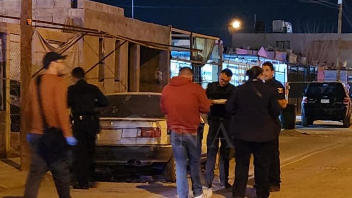 Hombre muere en su casa y sus perros lo devoran sin que nadie lo notara