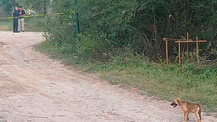 Encuentran dos cuerpos sin vida envueltos en cobijas en Nuevo León