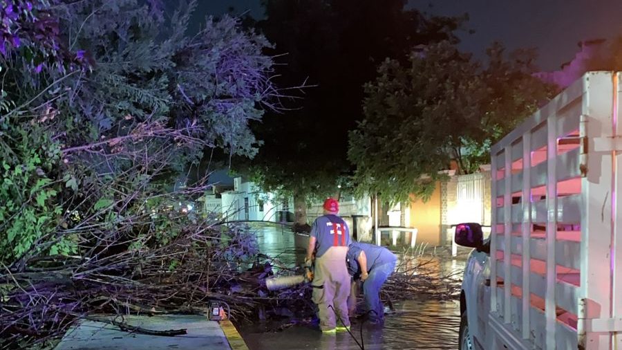 La tormenta que golpeó a Coahuila y causó estragos en municipios de las regiones Norte, Carbonífera y Centro-Desierto, provocó daños menores a la ciudad de Monclova.