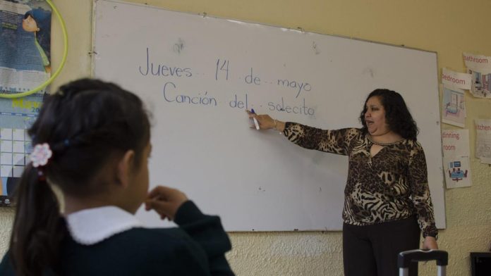 Conoce los salarios de los profesores en México