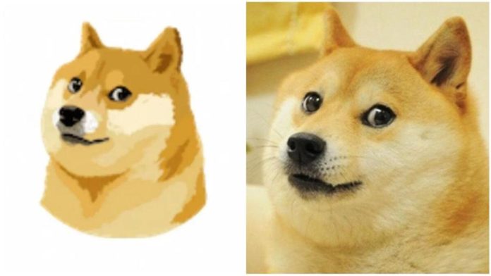 Kabosu, la perrita japonesa de los memes, falleció a los 19 años ¿La recuerdas