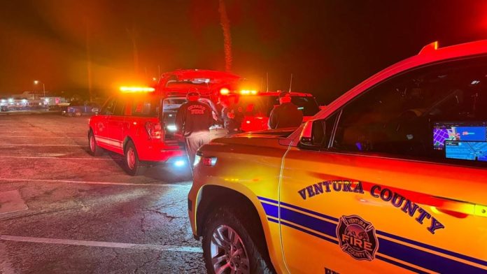 Rescatan a menor mexicana víctima de trata en EE.UU. gracias a mensaje de texto