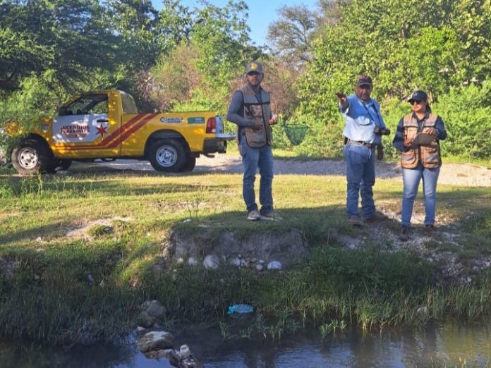 Unen esfuerzos por el cuidado ambiental