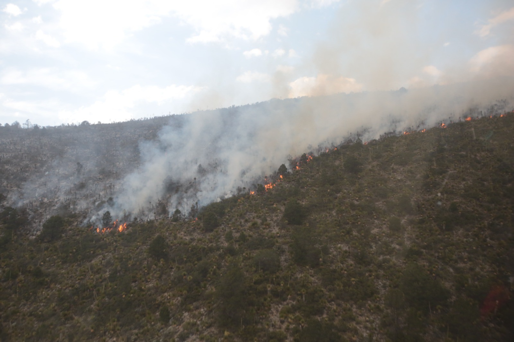 INCENDIO FORESTAL