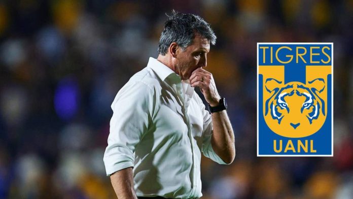 Siboldi SE VA de Tigres
