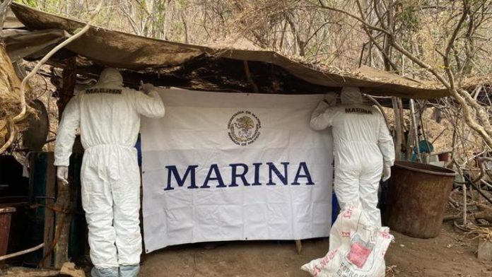 SEMAR desmantela tres laboratorios clandestinos en Sinaloa