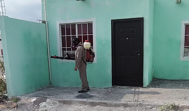 Una colonia de Monclova infestada de garrapatas. Autoridades sanitarias municipales y estatales realizaron acciones para combatir esta plaga.