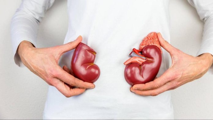 Conoce estos 3 ejercicios que ayudan a expulsar piedras en los riñones