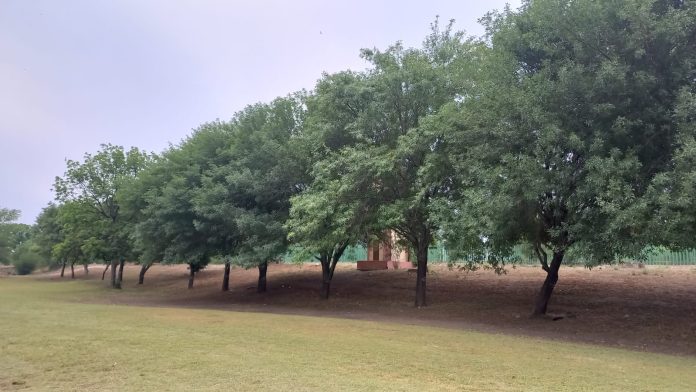 Son preocupante las altas temperaturas en la región