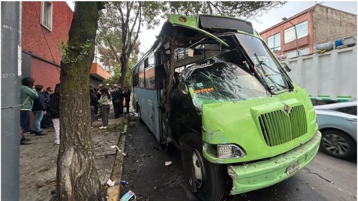 Transporte público choca contra árbol y deja al menos 12 heridos