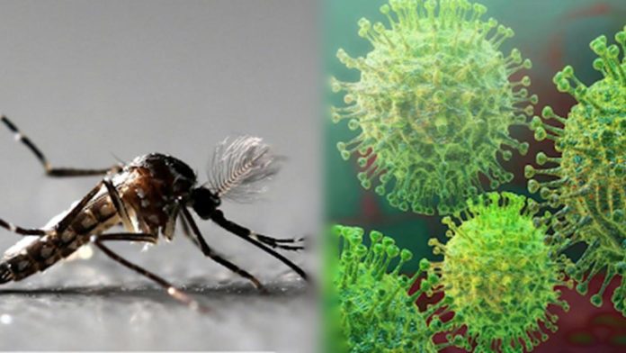 Alertan de 15 casos sospechosos de dengue o Covid-19 en Piedras Negras