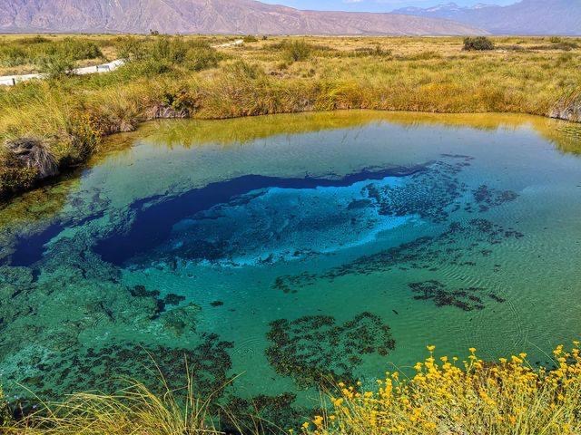 Clausuran ranchos ecológicos en Cuatro Ciénegas