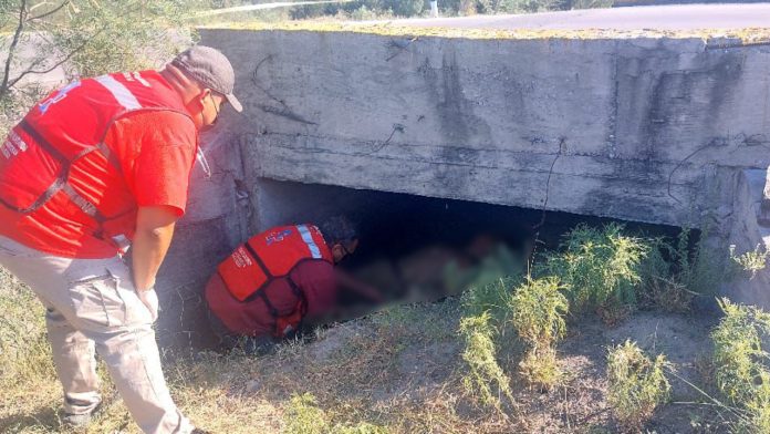Lo encuentran sin vida en el monte