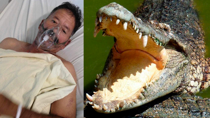Coahuilense es mordido por cocodrilo en Campeche; solicitan ayuda para su traslado