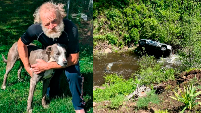 Hombre cae por un barranco y su perro recorre 6 kilómetros para pedir ayuda