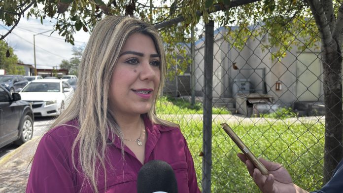 La Dirección de Fomento Agropecuario de Monclova entregará este viernes más de siete toneladas semilla de avena forrajera.