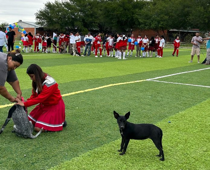 San Buenaventura realiza brigada de cuidado a las mascotas