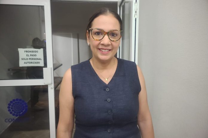 Sonia Villarreal, Subsecretaria de Gobierno en la Region Norte
