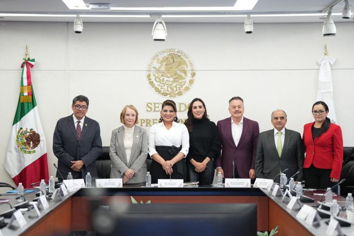 Cecilia Guadiana participa en comparecencia del canciller Juan Ramón de la Fuente como secretario de Relaciones Exteriores