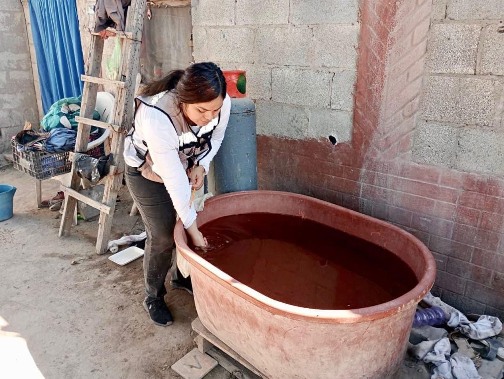 Amplían acciones contra el dengue en Coahuila