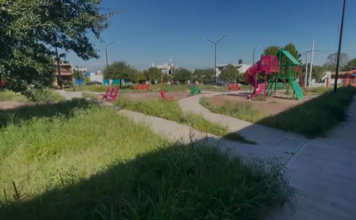 Suspenden clases en kínder de Coahuila por presencia de garrapatas; reportan seis picaduras