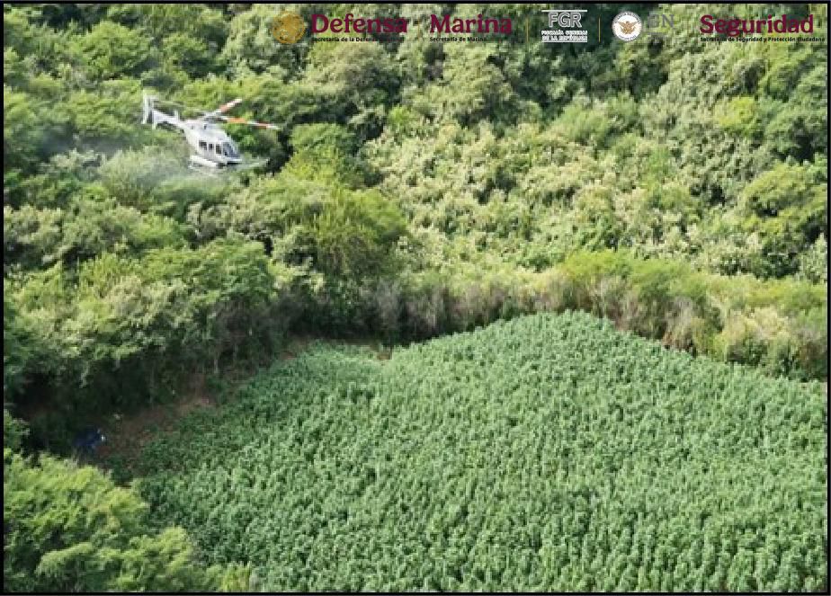 Gabinete de Seguridad del Gobierno de México informa acciones relevantes del domingo 17 de noviembre de 2024